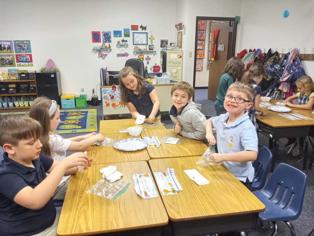 Mrs. Gray's Bean Seed Project